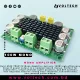 Gold A542 (TPA3116) – 100W Mono Class D Powerful Amplifier | Voltech Electronics
